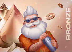 Bronze VIP